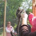 Állatkert-Bográcsozás 2009.05.01.
