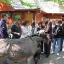 Állatkert-Bográcsozás 2009.05.01.